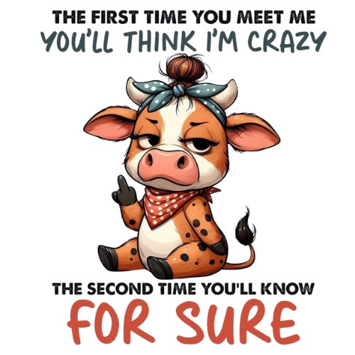 The First Time You Meet Me
