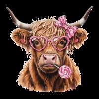 Highland Cow VD 36