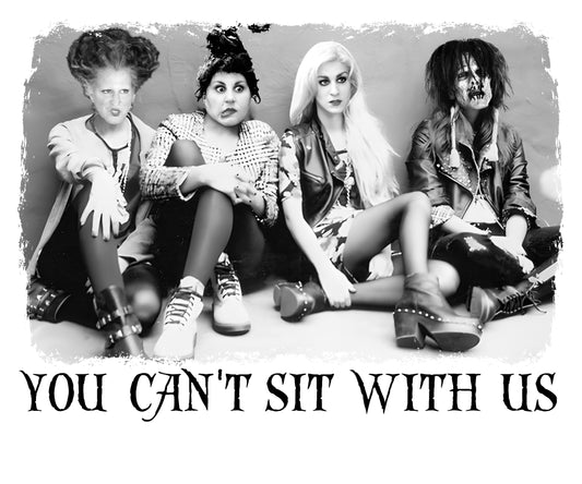 You Can't Sit With Us