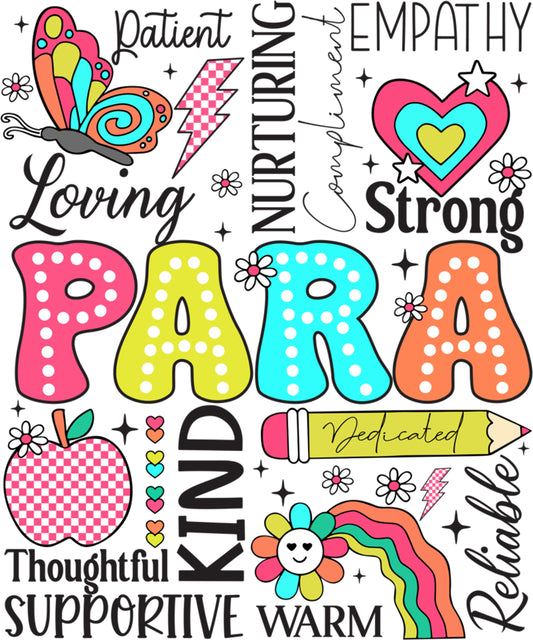 Para Paraprofessional Paraeducator Teacher