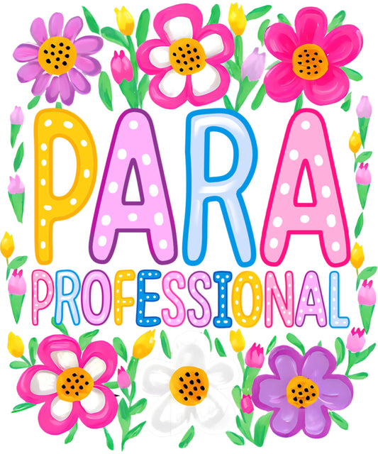 Paraprofessional  Para teacher