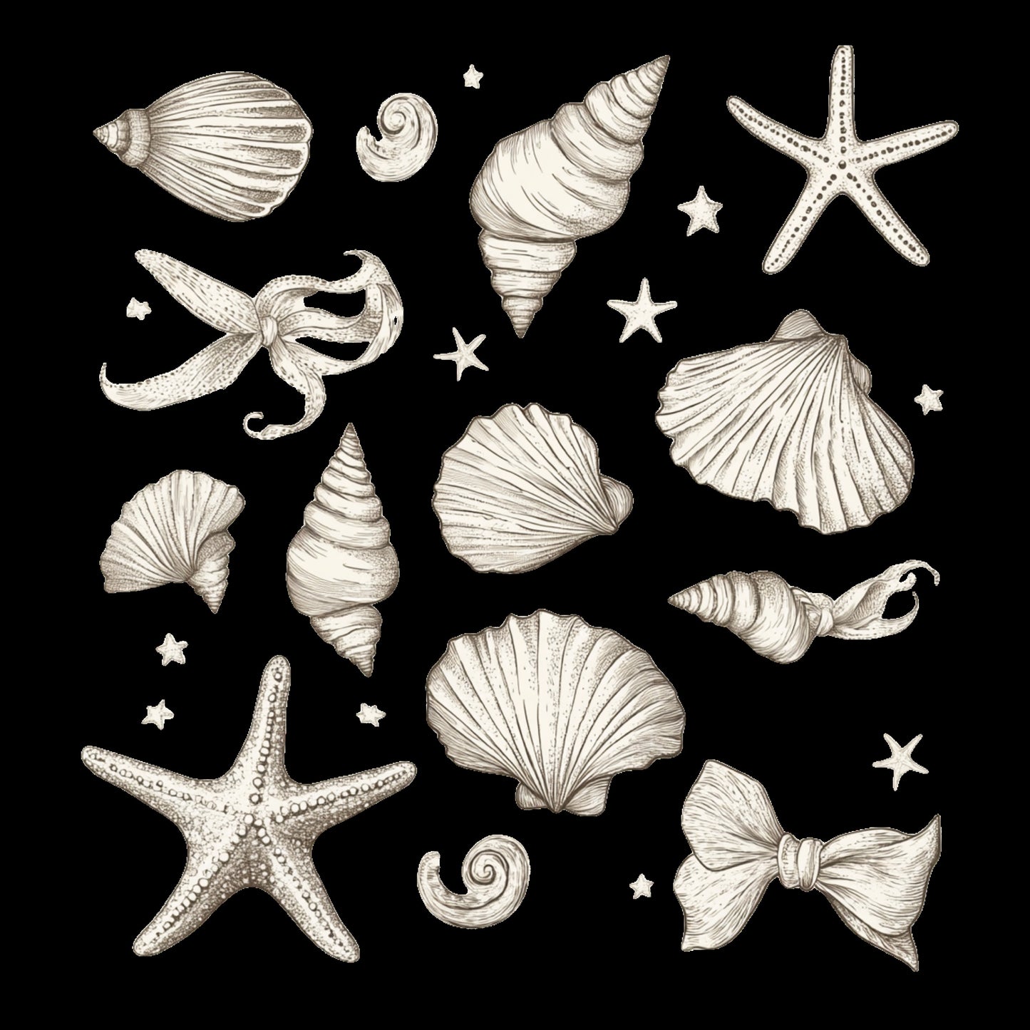 Shell