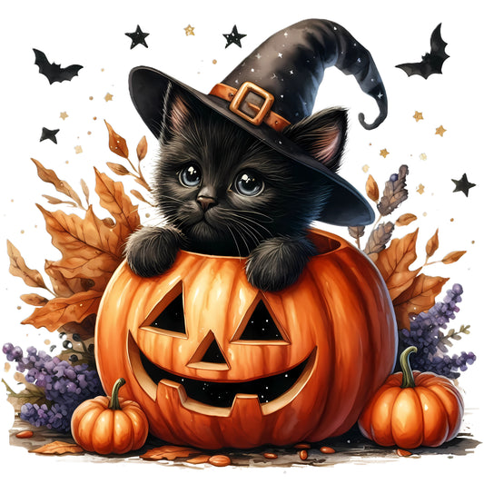 Black Cat in Pumpkin