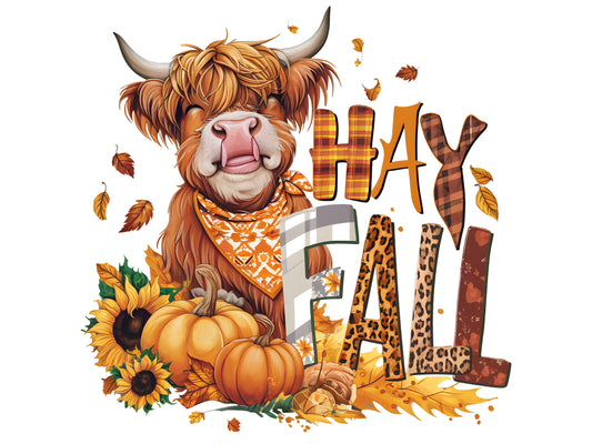 Hay Fall