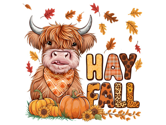 Hay Fall 2