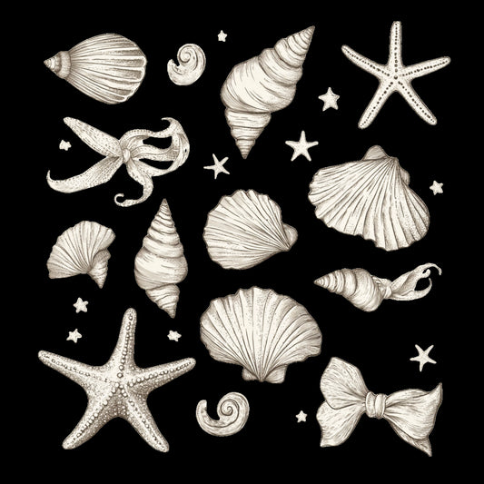 Shell