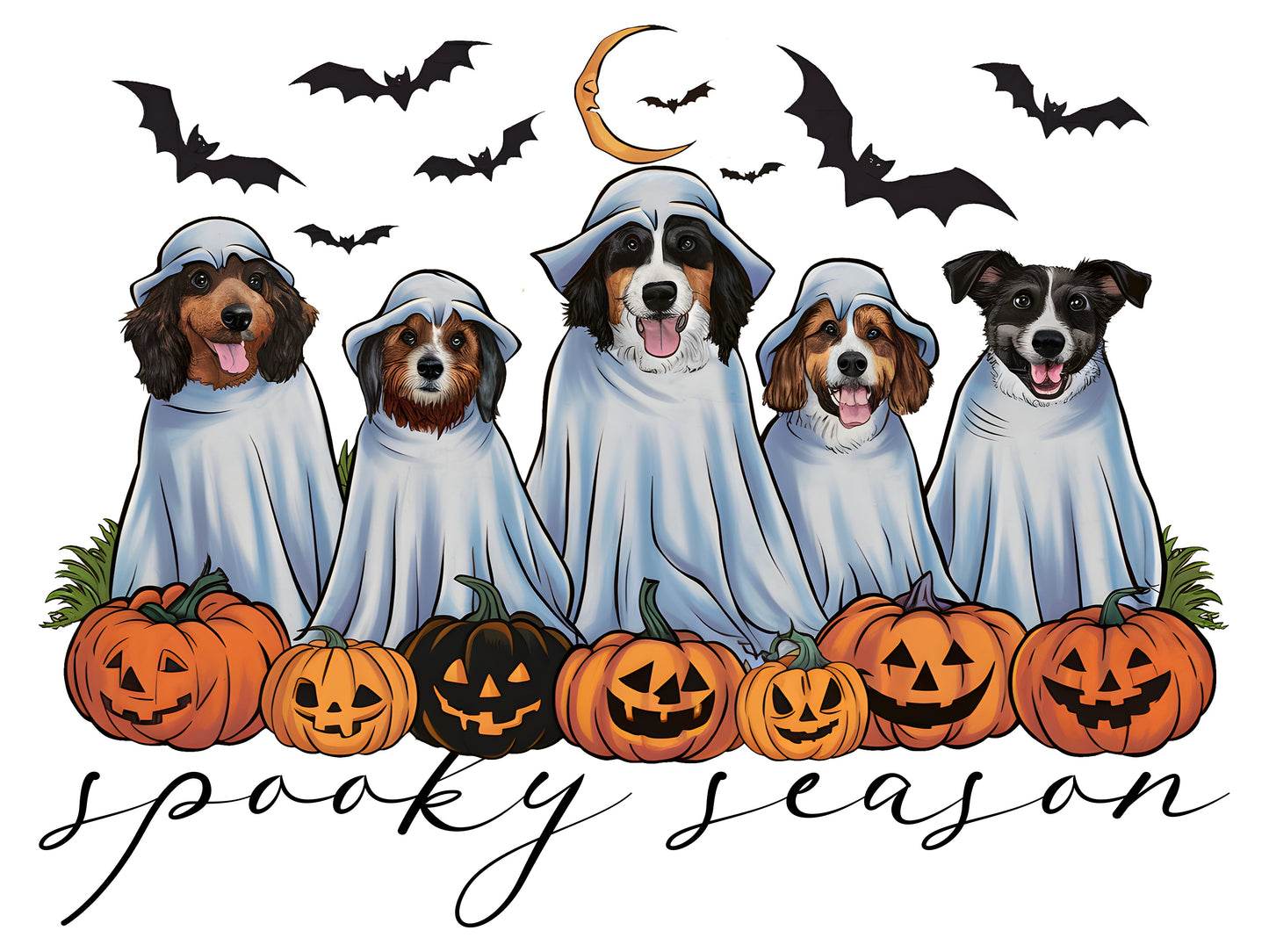 Spooky Season 6