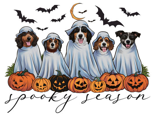 Spooky Season 6