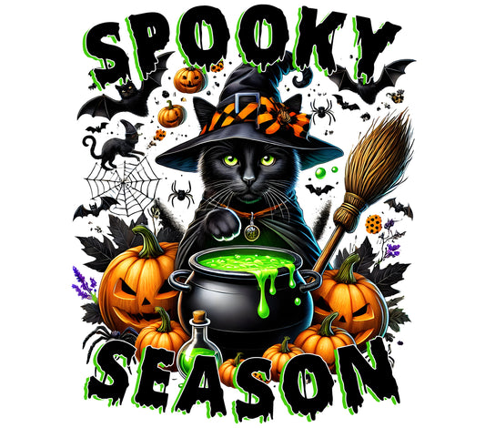 Spooky Season Cat 3