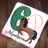 Horse Birthday Shirt, Pony Birthday Shirt - DMDCreations