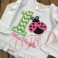 Ladybug birthday Shirt, Girl bug shirt - DMDCreations